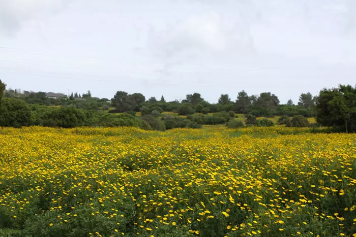 סבל מדום לב במהלך הטיול