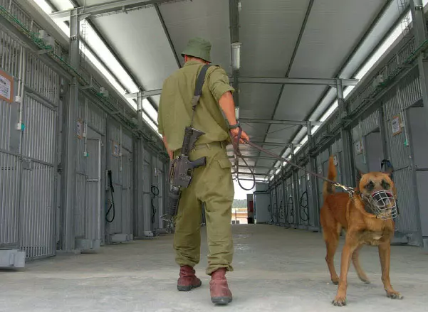 צה"ל: "בוצעו מעצרים בשיתוף יחידת כלבנים צה"לית, כנגד פלסטינים אשר הרסו במכוון את גדר הביטחון". חייל ביחידת עוקץ עם כלבו