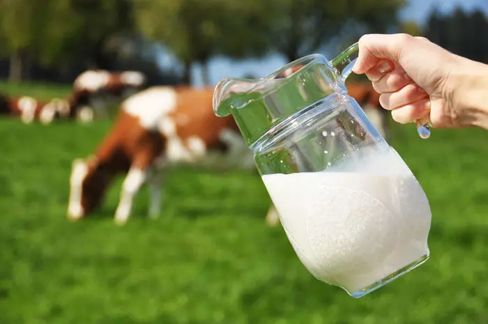 "אין כל סיבה שהציבור בארץ יאלץ לשלם עבור מוצרי החלב יותר מאשר רוב התושבים בעולם המערבי"