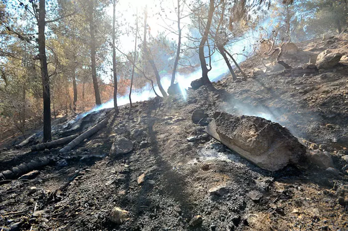 בסך הכל נפגעו אתמול שני בני אדם באורח קל משאיפת עשן