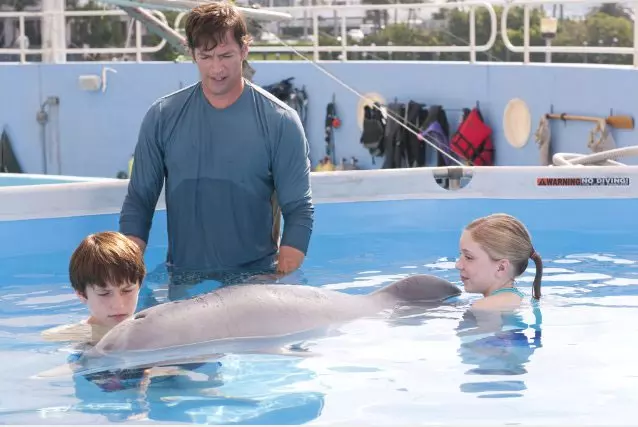 מי אמר שמיצינו את העניין ב"לשחרר את ווילי"? מתוך "סיפורו של דולפין"