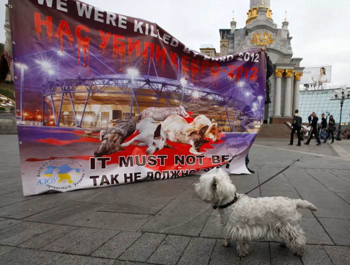 הפגנות באוקראיינה קוראות להפסקת ההרג האכזרי של כלבים משוטטים לקראת יורו 2012, 4 באוקטובר 2011
