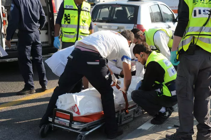 הולכי הרגל מהווים נתח גדול ממספר הנקטלים בתאונות דרכים