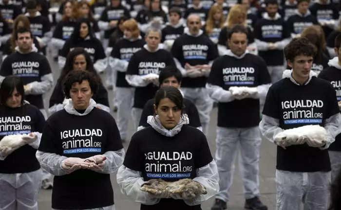 יום זכויות בעלי החיים, מדריד, ספרד. 10.12.2011