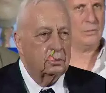 הנזלת הירוקה של שרון היתה צריכה להשאר בפיילוט