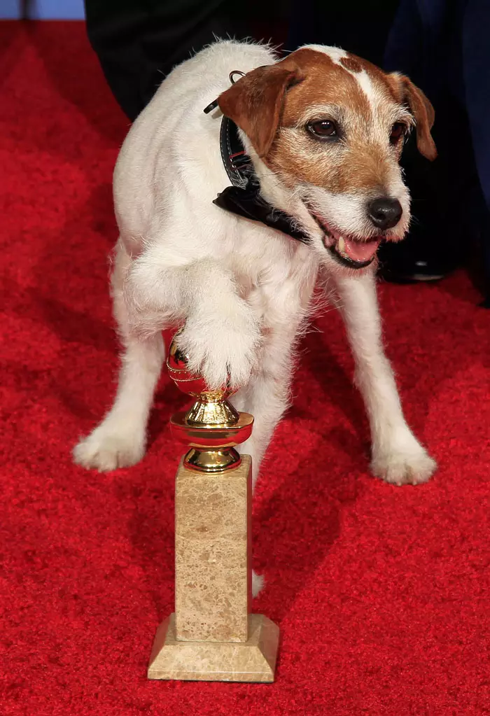 אוגי זוכה עם הסרט 'הארטיסט' בגלובוס הזהב, , קליפורניה, 15.1.2012
