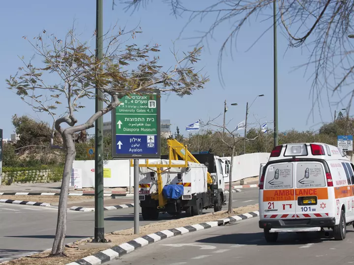 הנפלים התגלו במקום במסגרת עבודות חפירה לבניית בניין חדש, שאמור לשמש כמעונות הסטודנטים