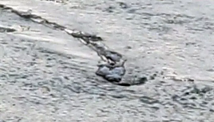 הספקנים טוענים כי בסרטון רואים בסך הכל חתיכת רשת שנפלה אל מימי הנהר הקפואים