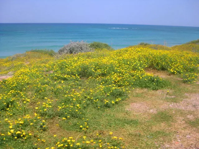 שנתיים לא נעשה דבר. חוף פלמחים