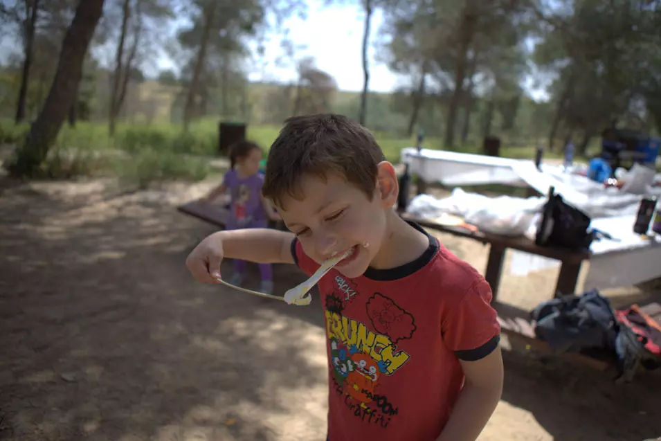 כאן, בין העצים, הם יוצרים קהילה שמקיימת אורח חיים דמוקרטי במובנו הטהור ביותר