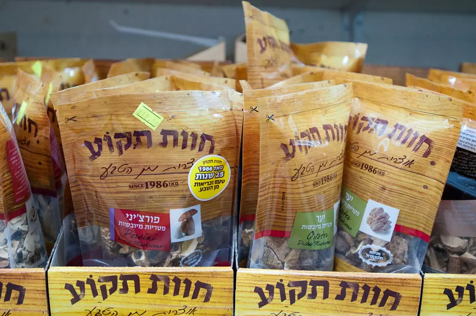 פטריות של חוות תקוע