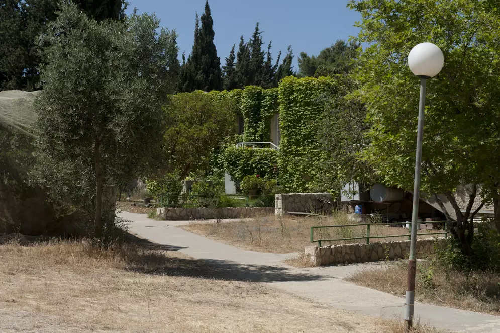 ההצבעה בקיבוצים היתה הומוגנית