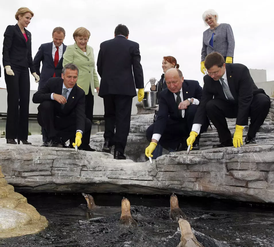 מנהיגי מדינות הים הבלטי מאכילים פינגווינים, גרמניה. 31.5.2012