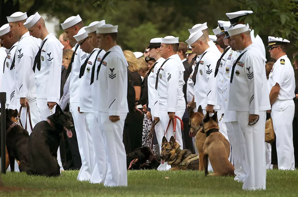 כלבים בהלוויית קצין. וירג'יניה, ארה"ב. 19.6.2012
