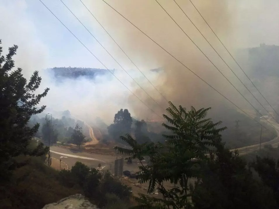 11 צוותי כיבוי פעלו בדקות הראשונות של השריפה