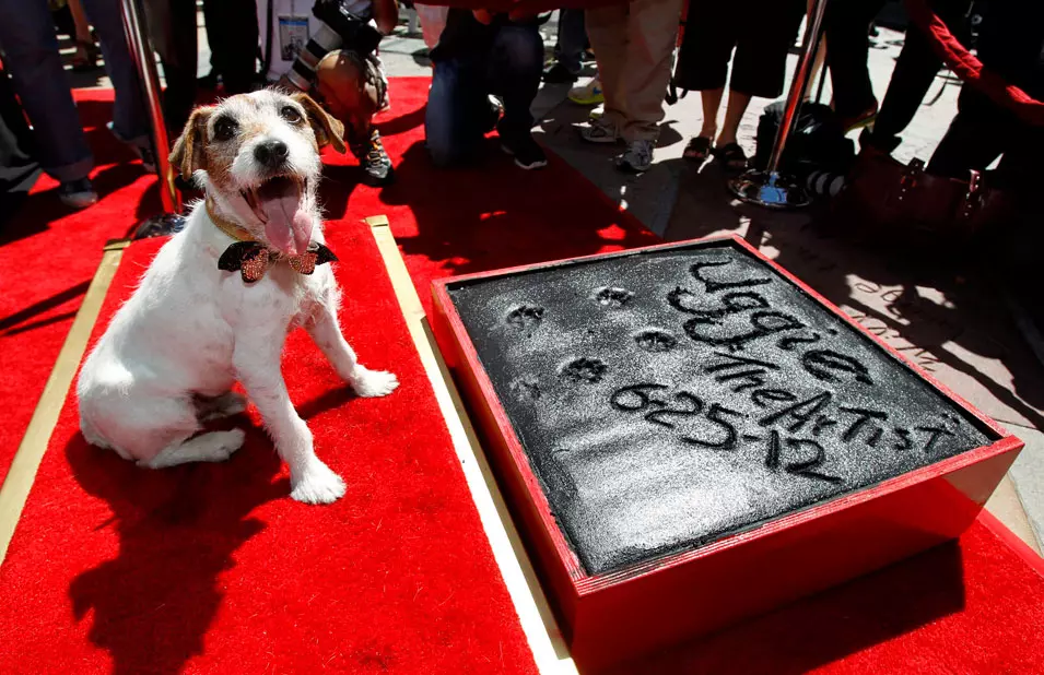 אוגי הכלב מטביע את חותמו, הוליווד, קליפורניה. 25.6.2012
