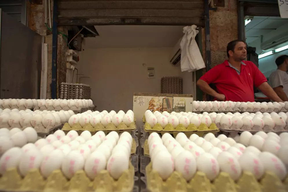 מחיר הביצים יעלה בשעורים שבין 14%-17% בממוצע
