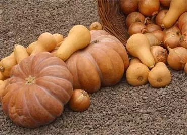 ואפשר גם סודה בטעם דלעת