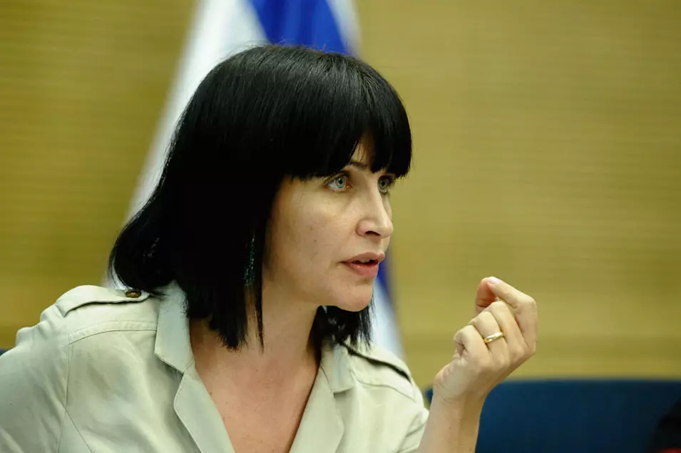 "השיטה שלנו אינה גרועה מאחרות". וילף בדיון בכנסת