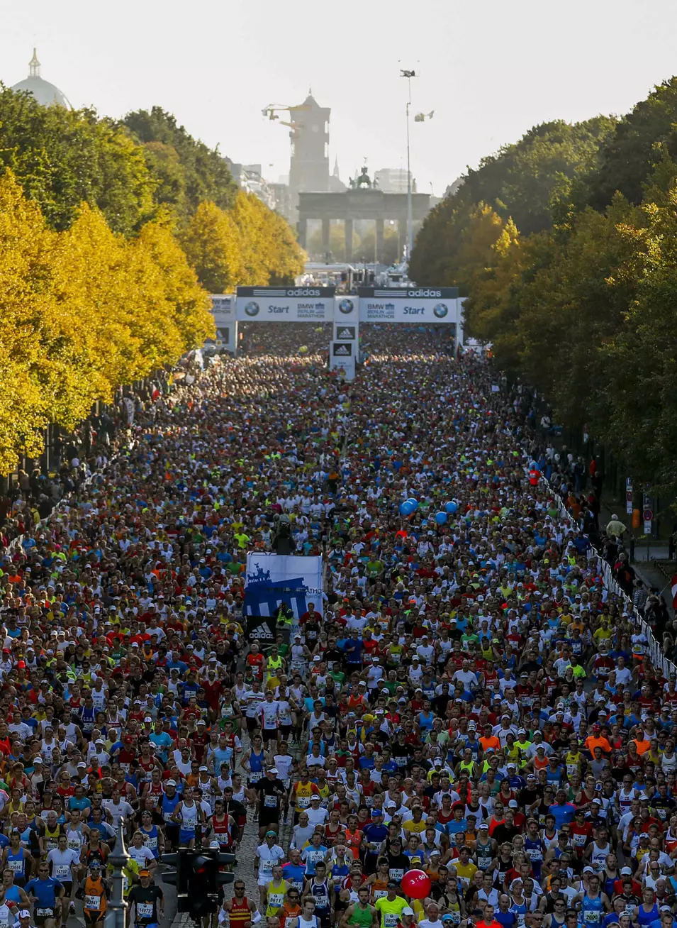 המירוץ הגדול בעולם. מרתון ברלין 2012 יוצא לדרך