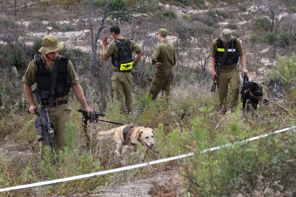 החבל לא נשרף. אזור מציאת שרידי הגופה ליד דליית אל-כרמל