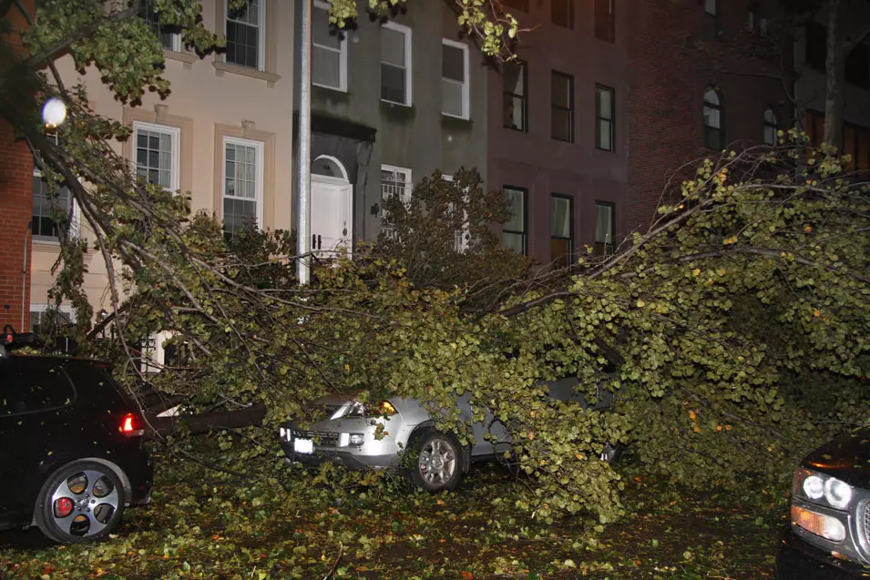 ענף קרס על מכונית במנהטן בגלל ההוריקן "סנדי", אוקטובר 2012