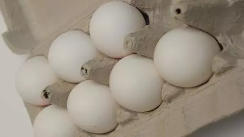 בביצים המיוחדות כגון ביצי חופש לא קיים מחסור