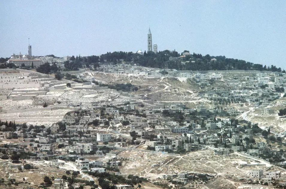 הנייה היא זכות וגם חובה