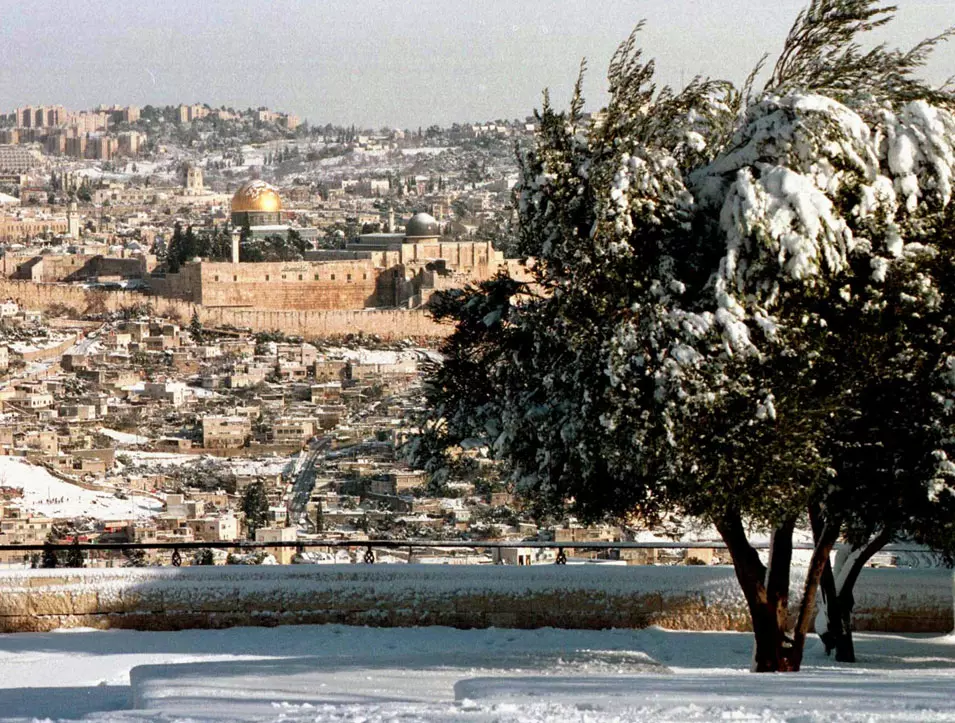 "המעסיק הדומיננטי בירושלים למשל, הם משרדי הממשלה"