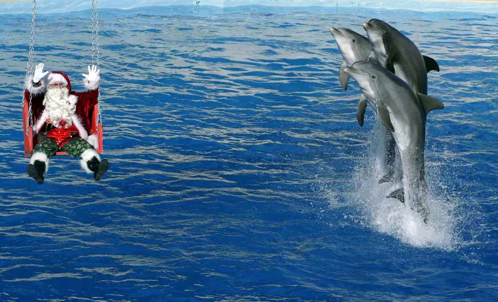 דולפינים קופצים עם סנטה קלאוס