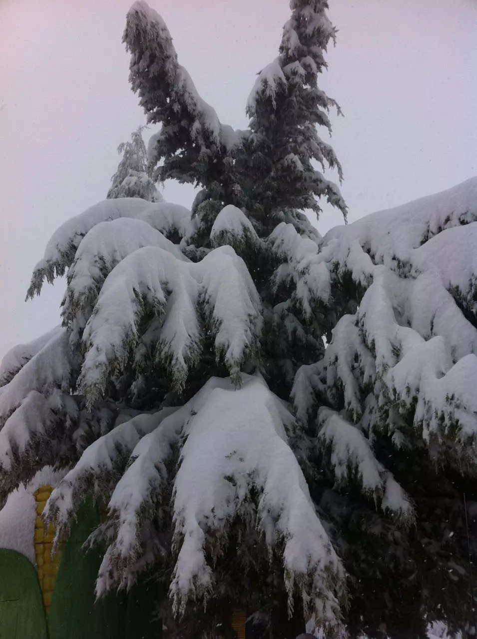 שלג בחרמון לאחר הסערה, 11 ינואר 2013