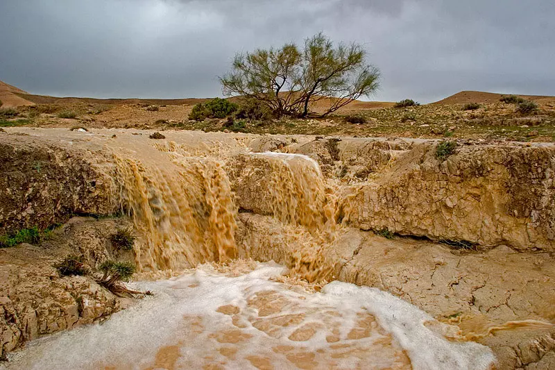 שיטפון במדבר יהודה בחורף
