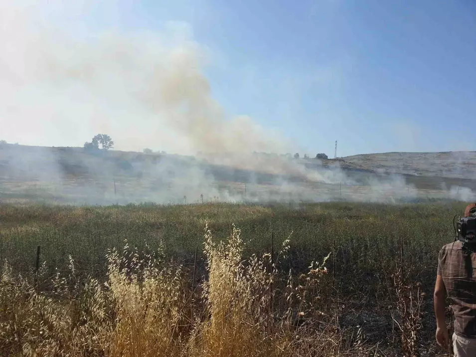 השריפה ביער בן שמן פרצה בשל שימוש לא נכון במנגל. האש ליד הכינרת, היום