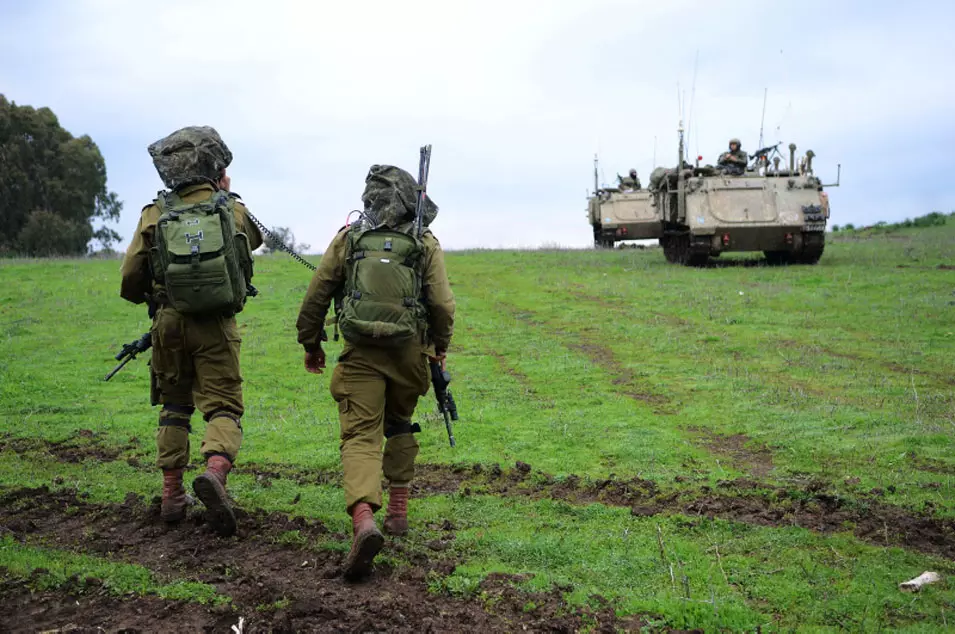 הלוחמים טענו כי מצאו את השתילים וגידלו אותם מתוך סקרנות