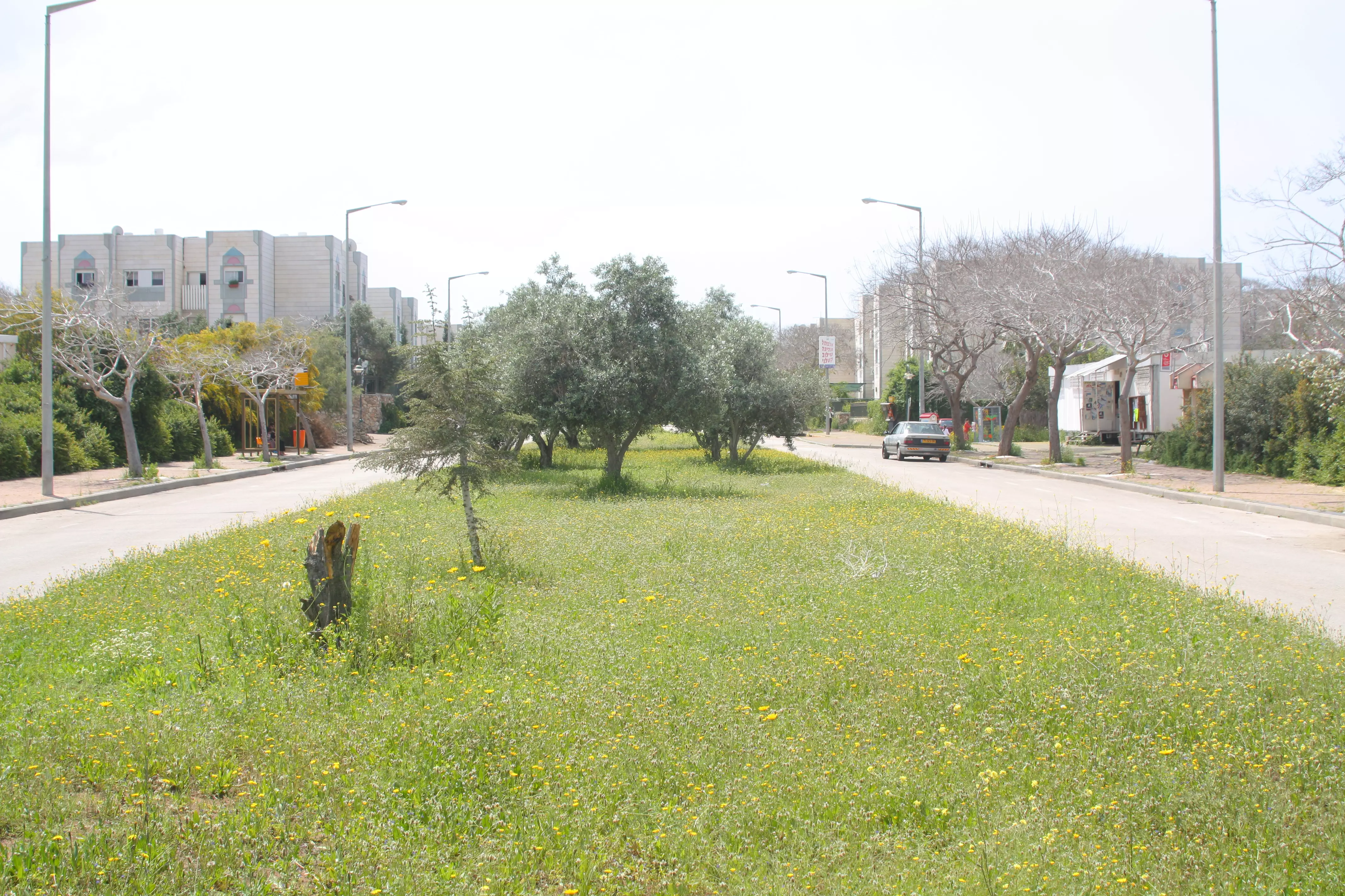 כבר לא תהיה "עיר הדוסים". חריש