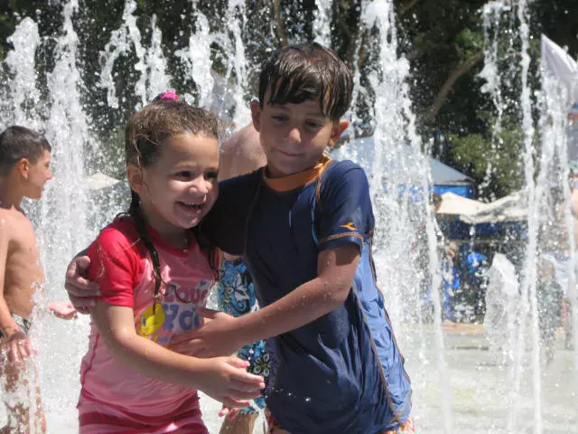 קורבנות של חברה המתנהלת כג'ונגל. יהב ועדן גור