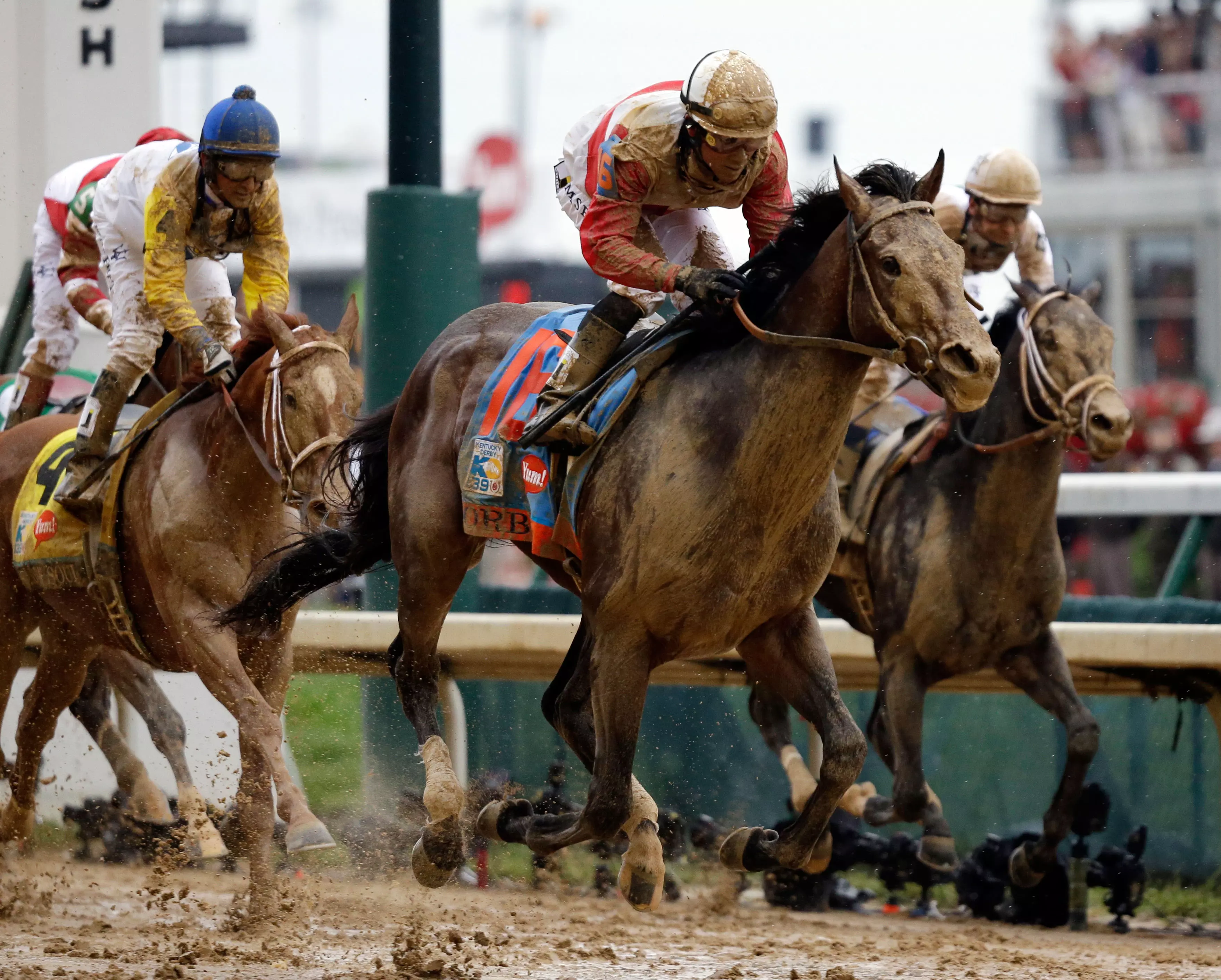 מדי שנה מתים למעלה מ-1,200 סוסים במסלולי המרוצים בארה"ב. מרוץ ה"קנטאקי דרבי" במאי האחרון