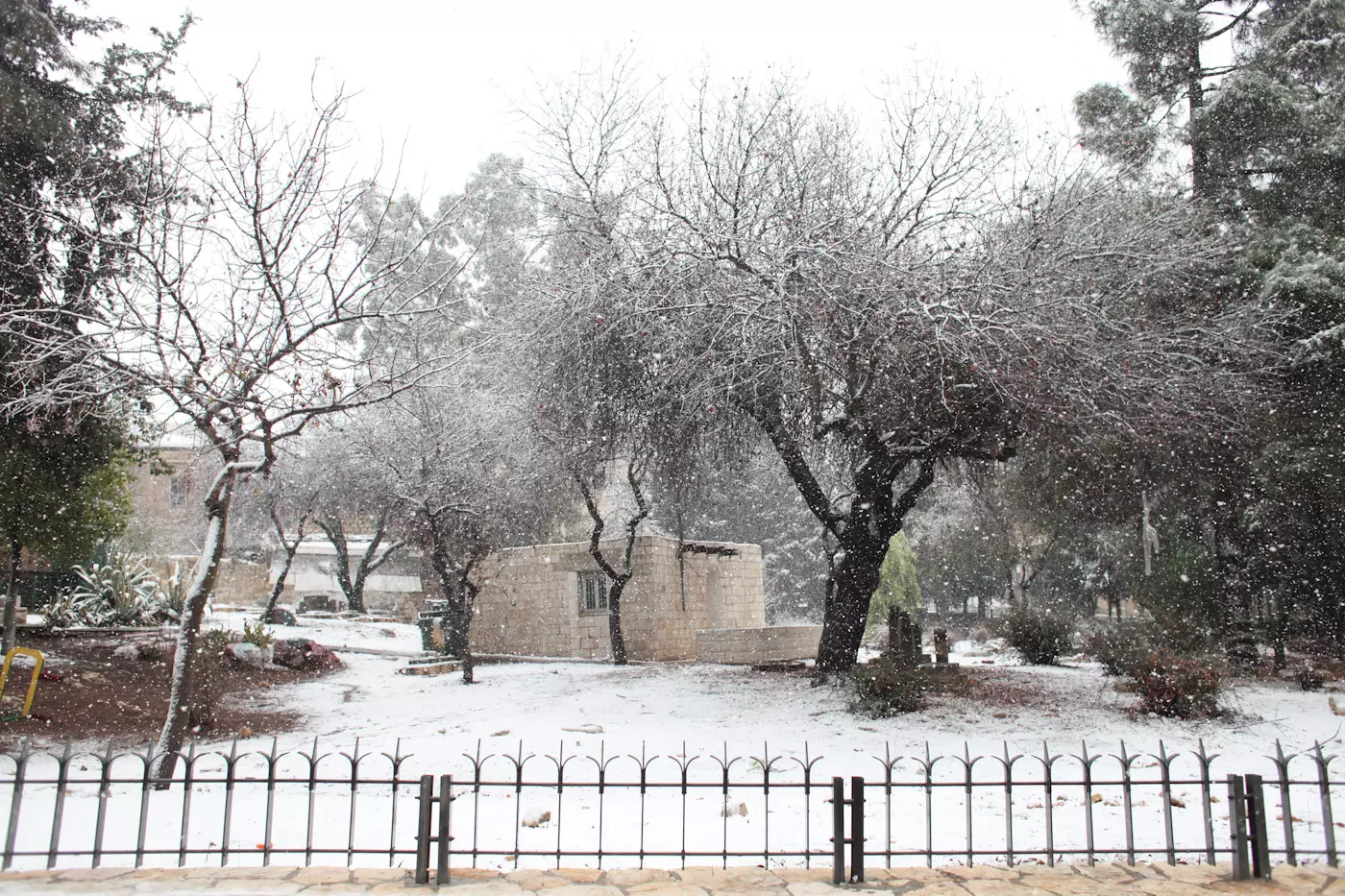 שלג בירושלים, הבוקר