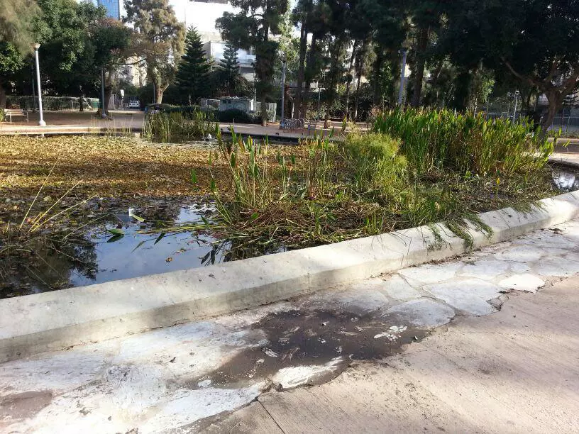 החשודים היו "אוספים" את הנערות בגן מאיר