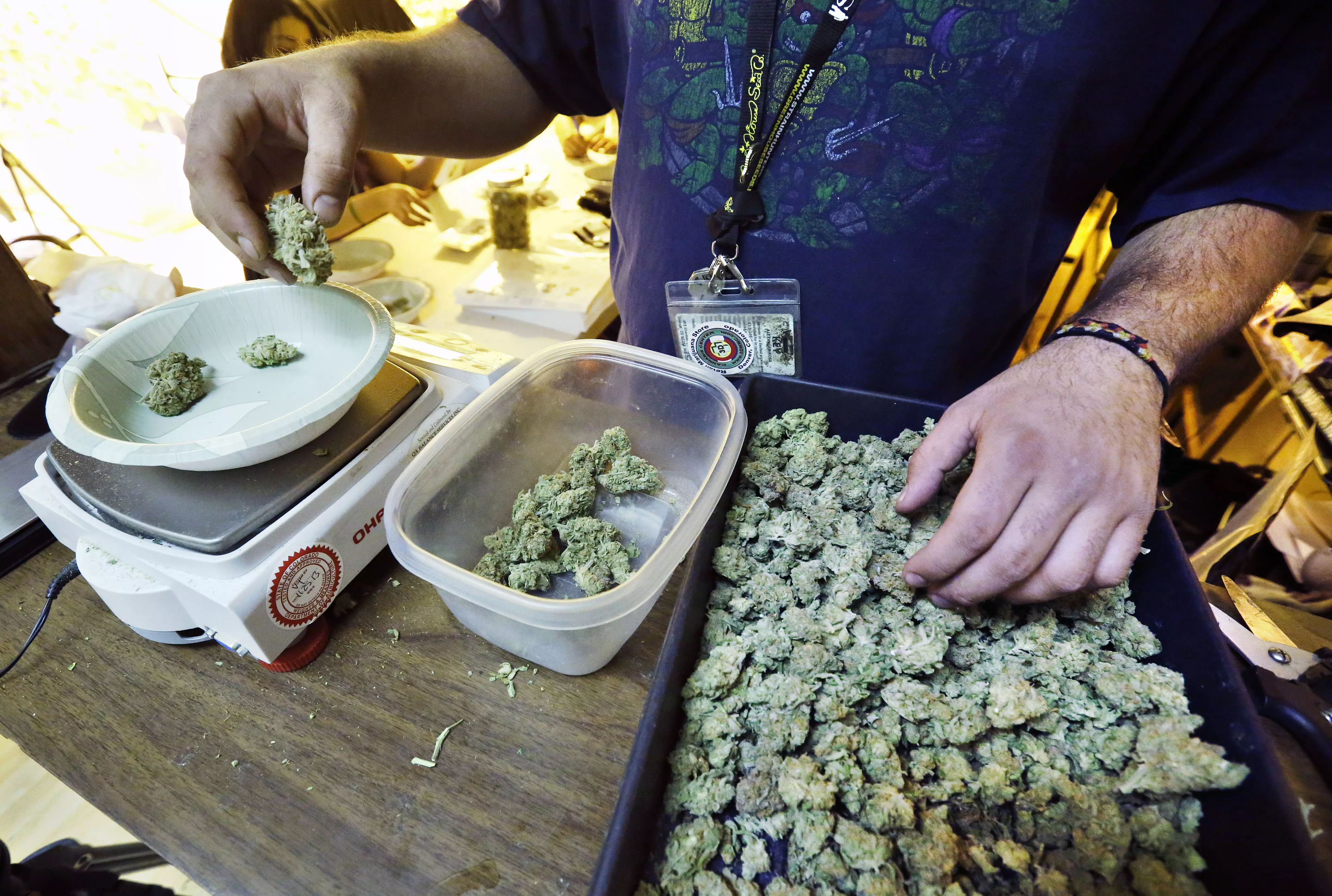 חנות למכירת מריחואנה בקולורדו, שם הותרה מכירה חוקית של הסם בתחילת 2014