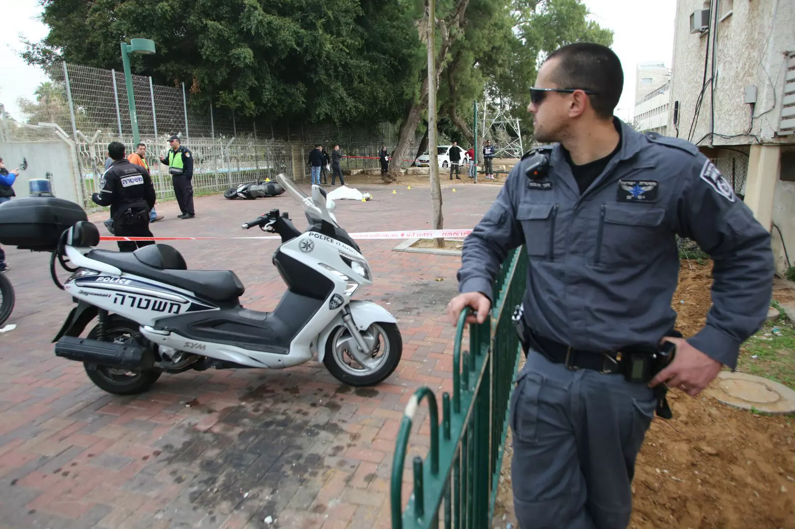 תאונות, חיסולים ודקירות. שוטר ביפו