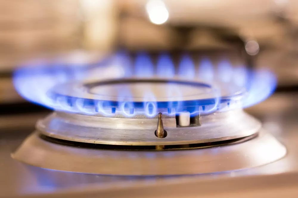 על אספקת גז ביתי לצרכנים אמונות היום ארבע חברות גדולות