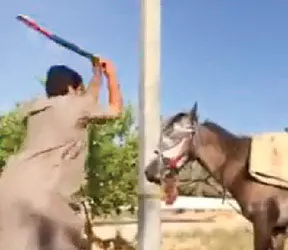 בטוויטר קראו "לבוא בחשבון" עם המתעללים