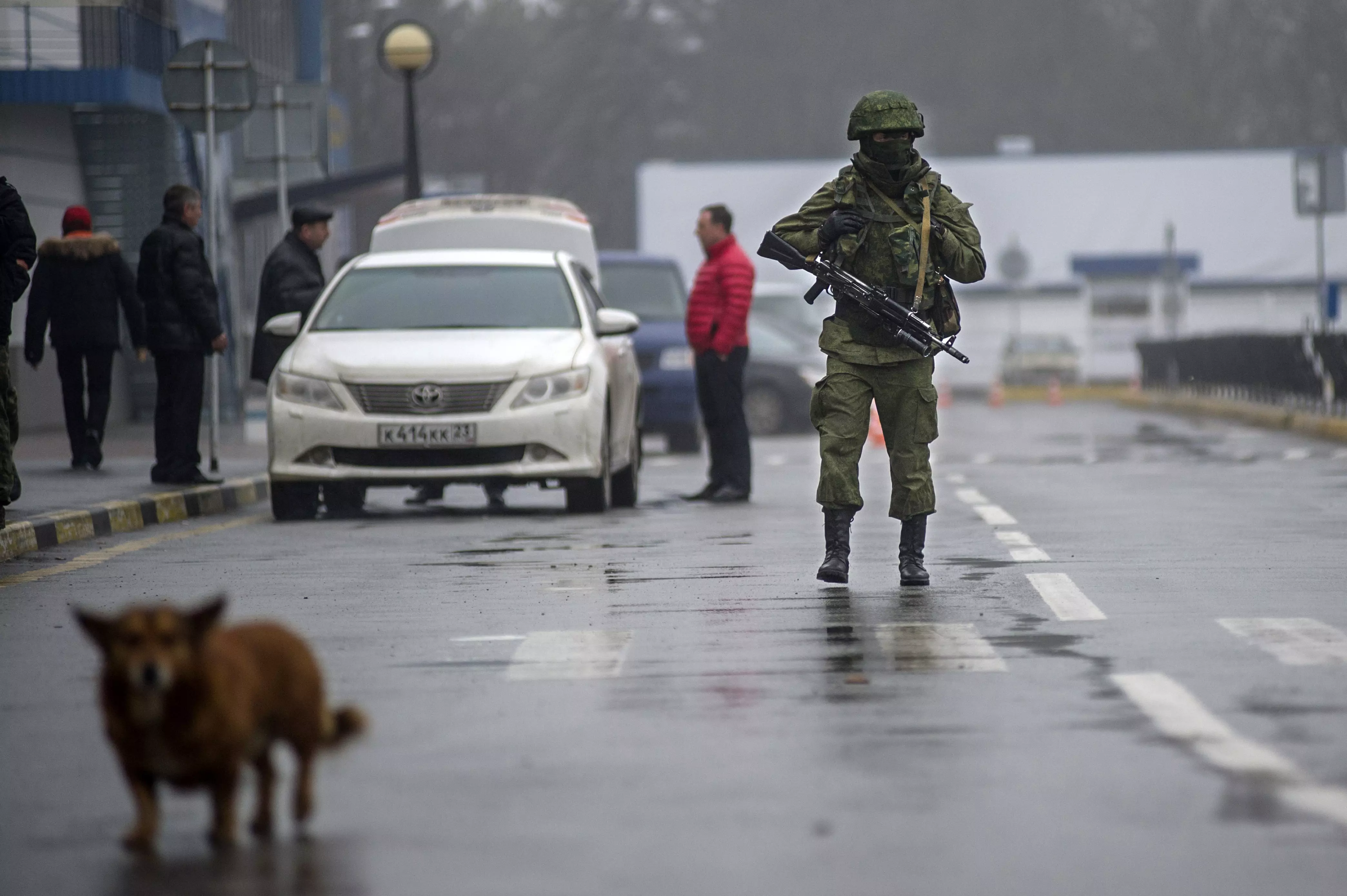 "הכוחות המזוינים האוקראינים יפעלו בהתאם לחוקי המדינה ולנהלי הצבא". כוחות צבא בחצי האי קרים