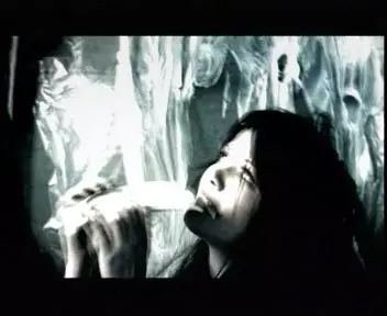 White Stripes - Blue Orchid
