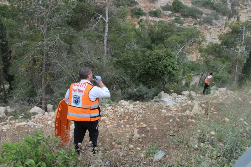 האזור בו קרס העץ