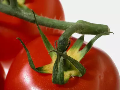 נמצאו חריגות אסורות לשימוש