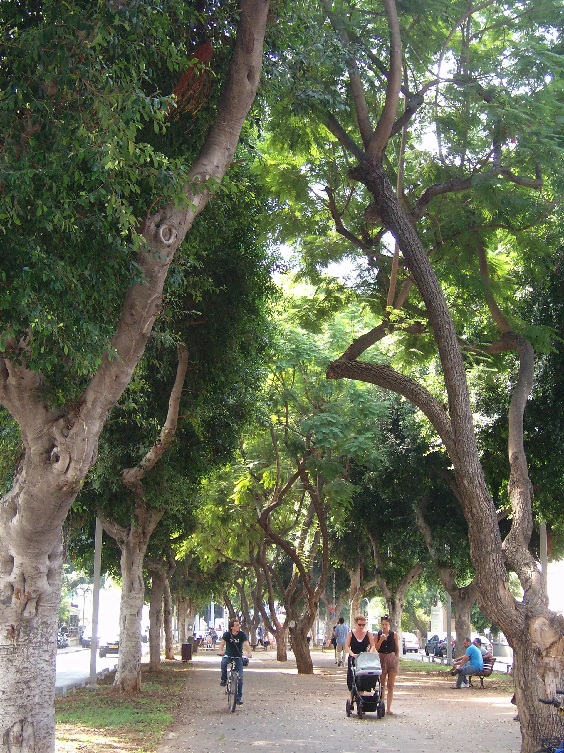 "מעולם לא הגיעה שום בקשה". שדרות רוטשילד