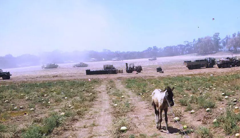 הסייחה שניצלה