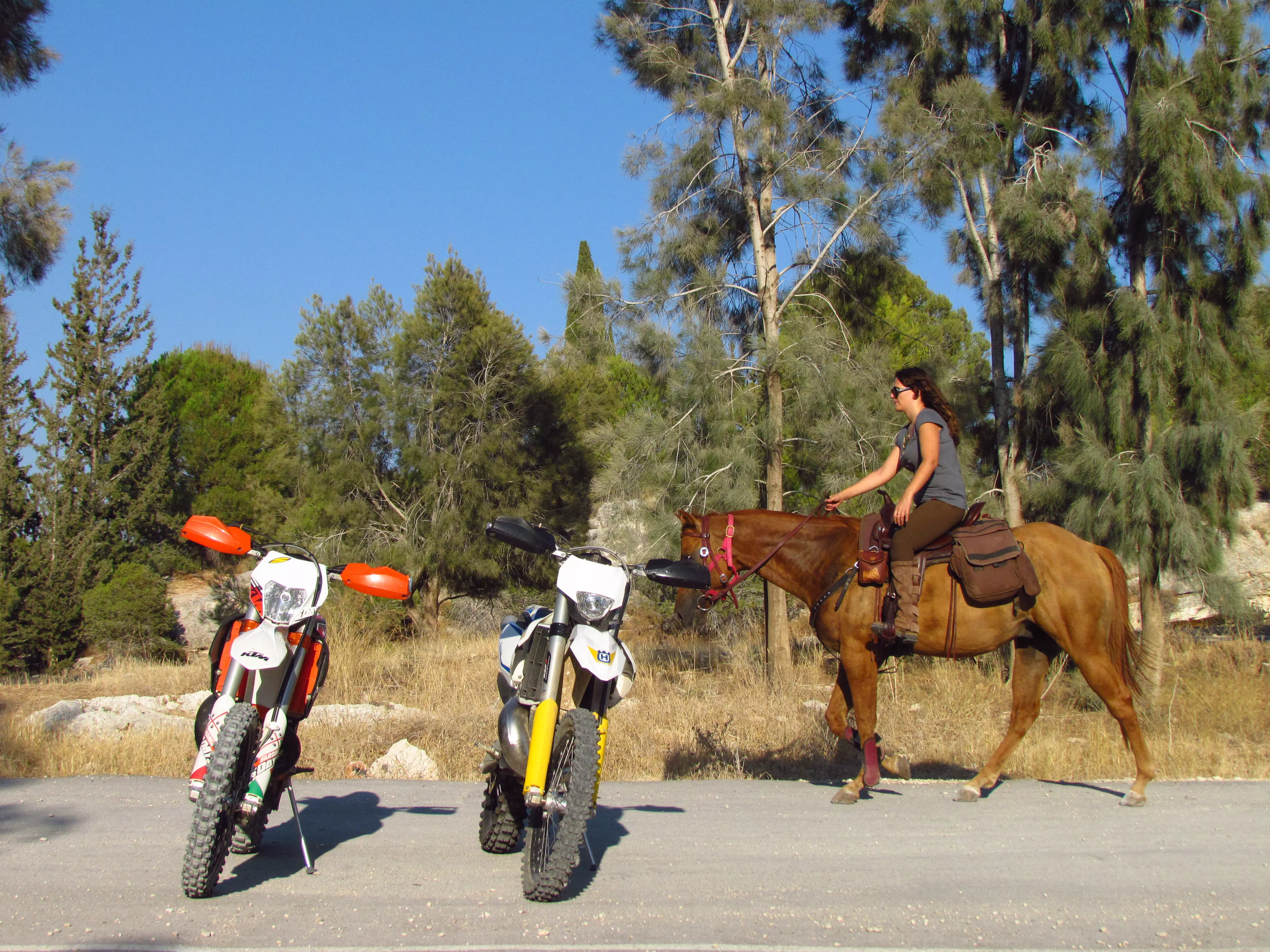 מבחן השוואתי הוסקווארנה 300 שתי פעימות מול KTM סיקס דייז 300 שתי פעימות